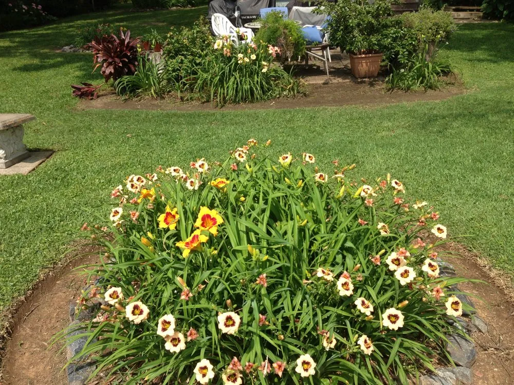 Professional yard cleanup service for homes in Shreveport, LA by Bubba's Lawn Care