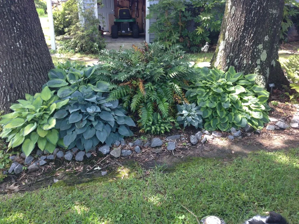 Trusted yard cleanup service in Shreveport, LA - Bubba's Lawn Care