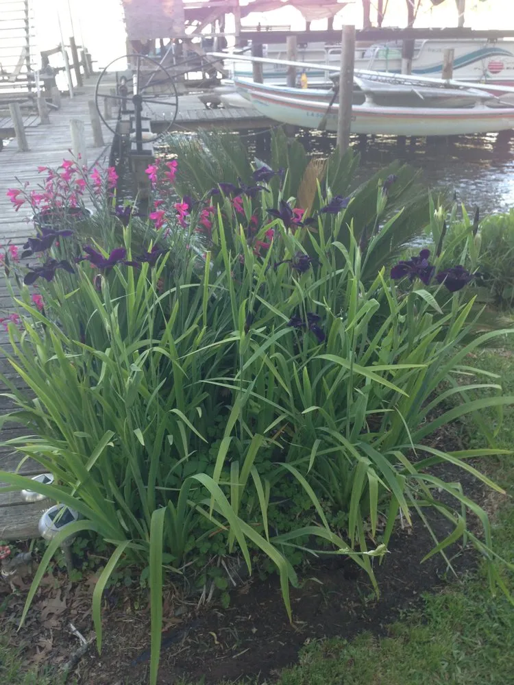 Affordable yard cleanup service for beautiful yards in Shreveport, LA by Bubba's Lawn Care