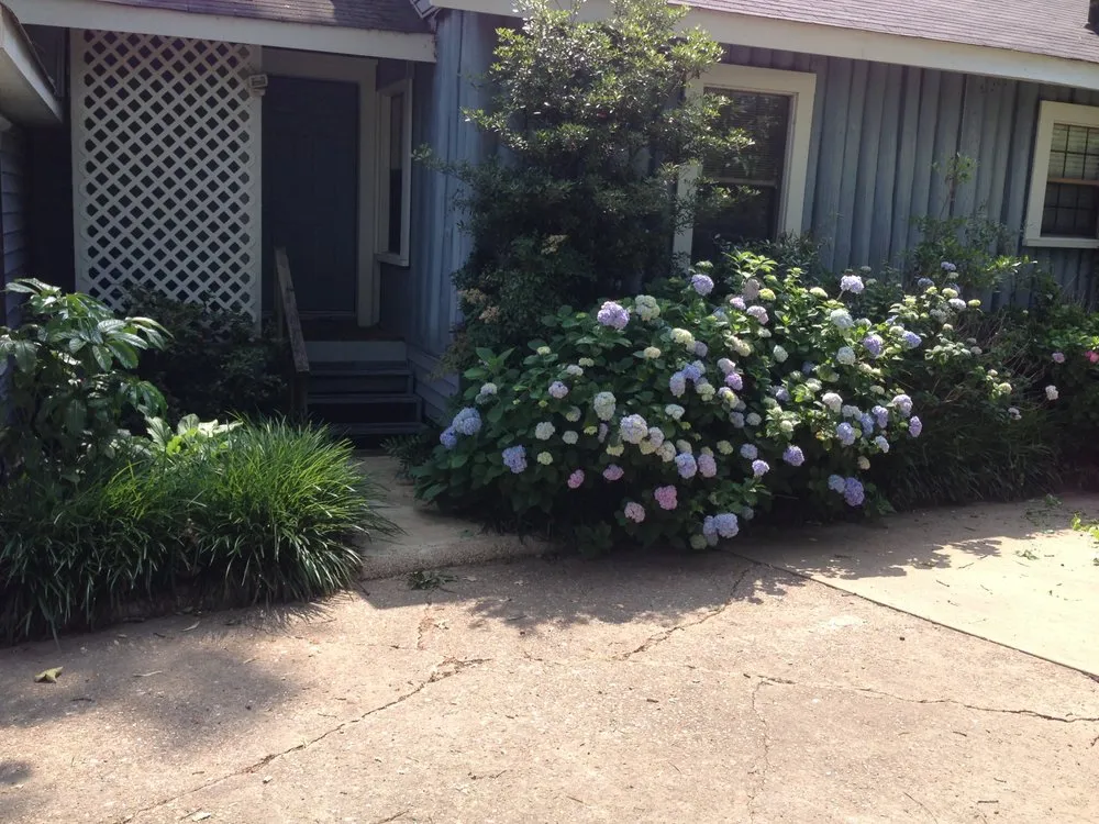 Reliable landscape installation near you in Shreveport, LA by Bubba's Lawn Care