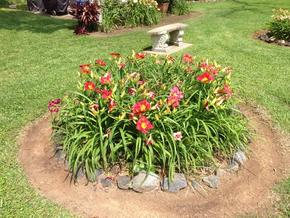 Trusted yard cleanup service experts serving Shreveport, LA - Bubba's Lawn Care