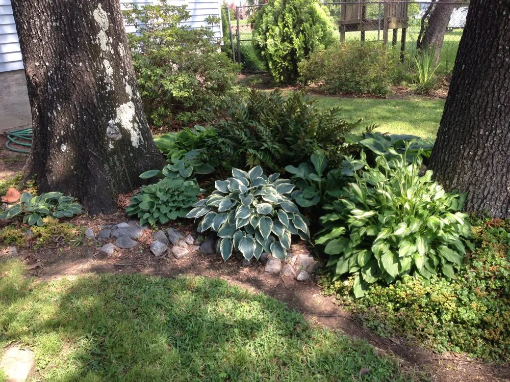 Reliable garden landscaping for outdoor upgrades across Shreveport, LA - Bubba's Lawn Care