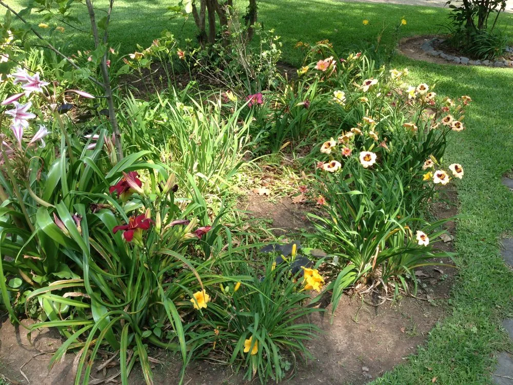 Reliable outdoor landscaping near you across Shreveport, LA - Bubba's Lawn Care