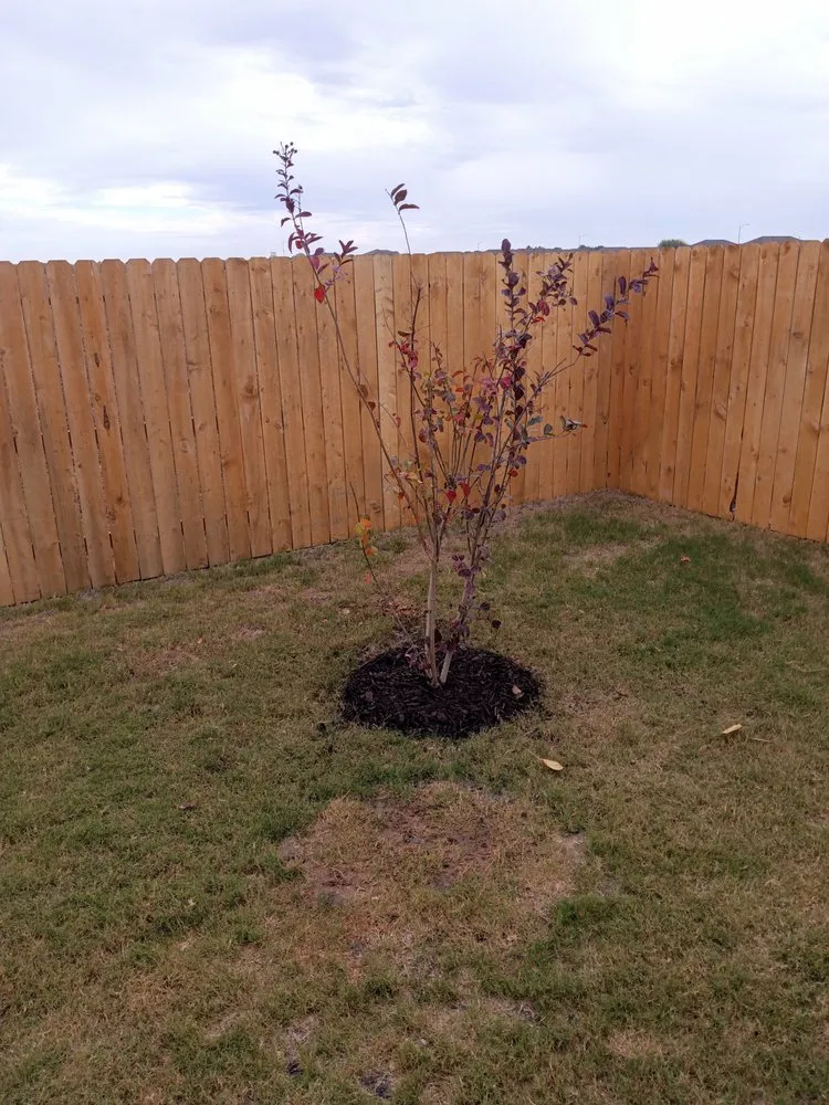 Affordable lawn mowing service in Lockhart, TX by Bubba’s Lawn Solutions