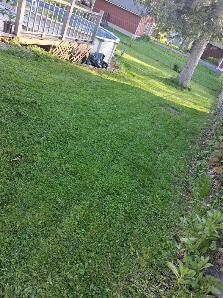 Affordable landscape installation for beautiful yards across Fulton, NY - Bubbas Property Service