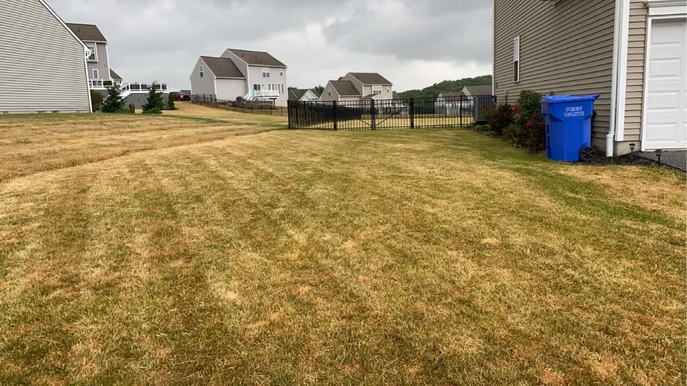 Professional yard maintenance experts serving New Cumberland, PA - Bubbly Lawnz Dream Yardz