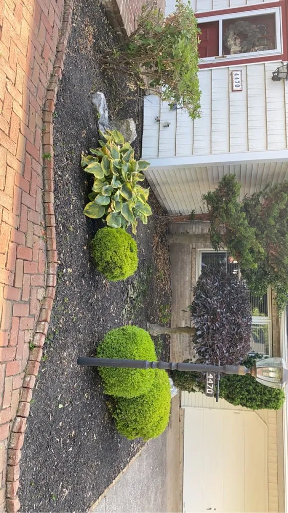 Expert landscaping services in New Cumberland, PA - Bubbly Lawnz Dream Yardz