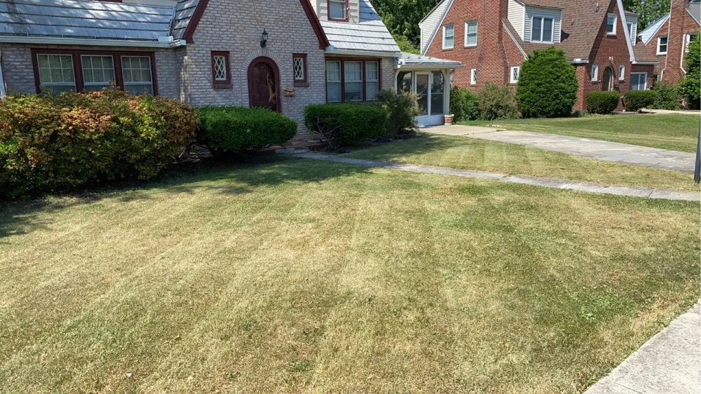 Reliable residential landscaping for beautiful yards across New Cumberland, PA - Bubbly Lawnz Dream Yardz
