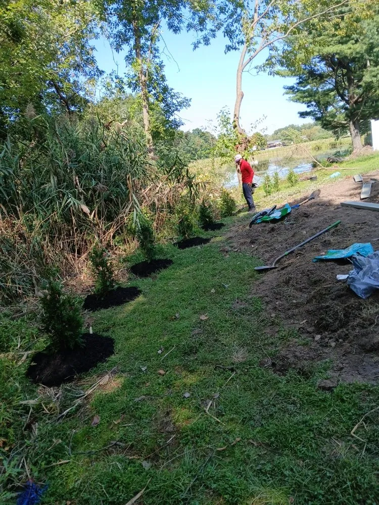 Affordable lawn care service in Red Bank, SC by Bubbys Professional lawn care and landscaping.