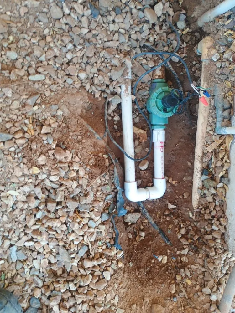 Top-rated lawn care service in Phoenix, AZ - Bubios Landscaping