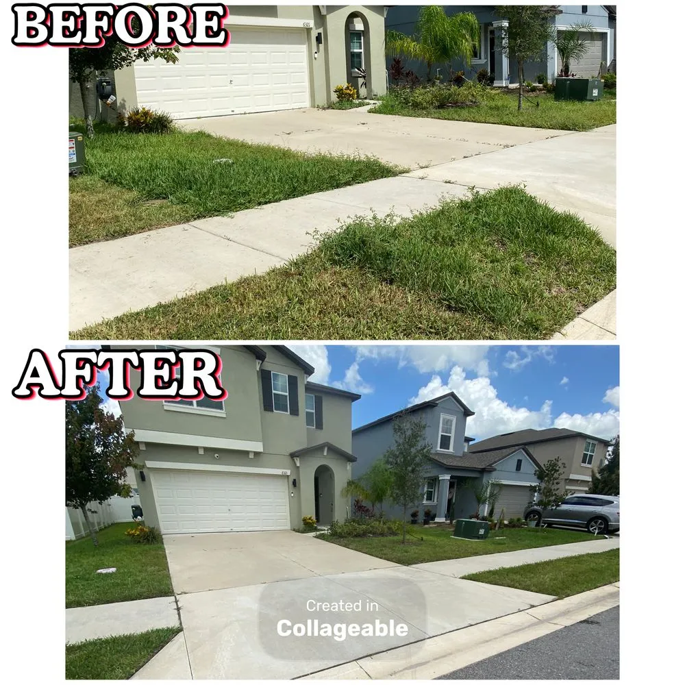 Local landscape design in San Antonio, FL by Buccaneer Home Services