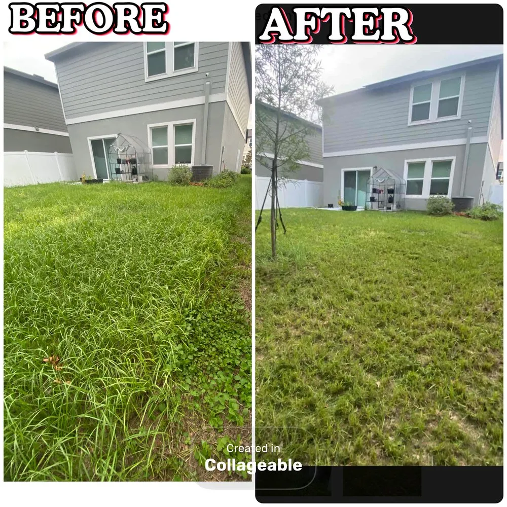 Custom landscape design in San Antonio, FL - Buccaneer Home Services