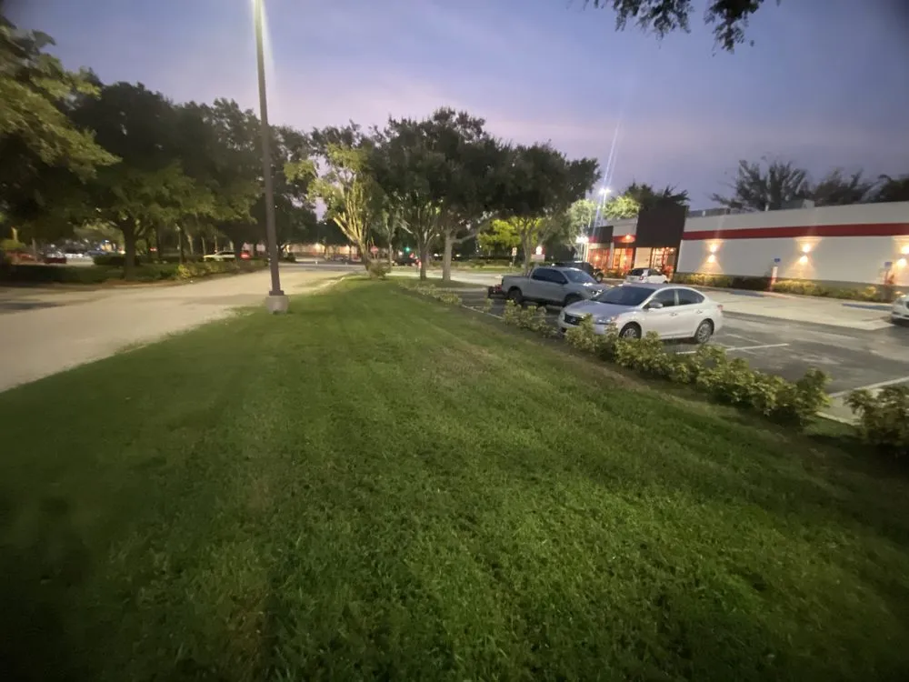 Custom landscape design in San Antonio, FL - Buccaneer Home Services