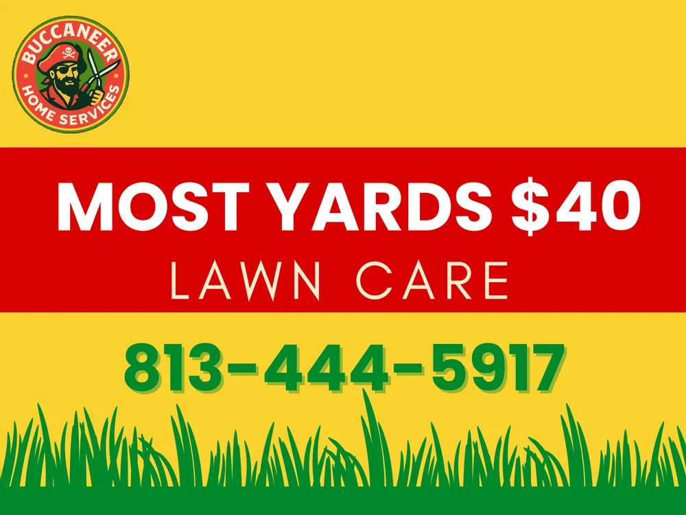 Professional landscape design for outdoor upgrades across San Antonio, FL - Buccaneer Home Services