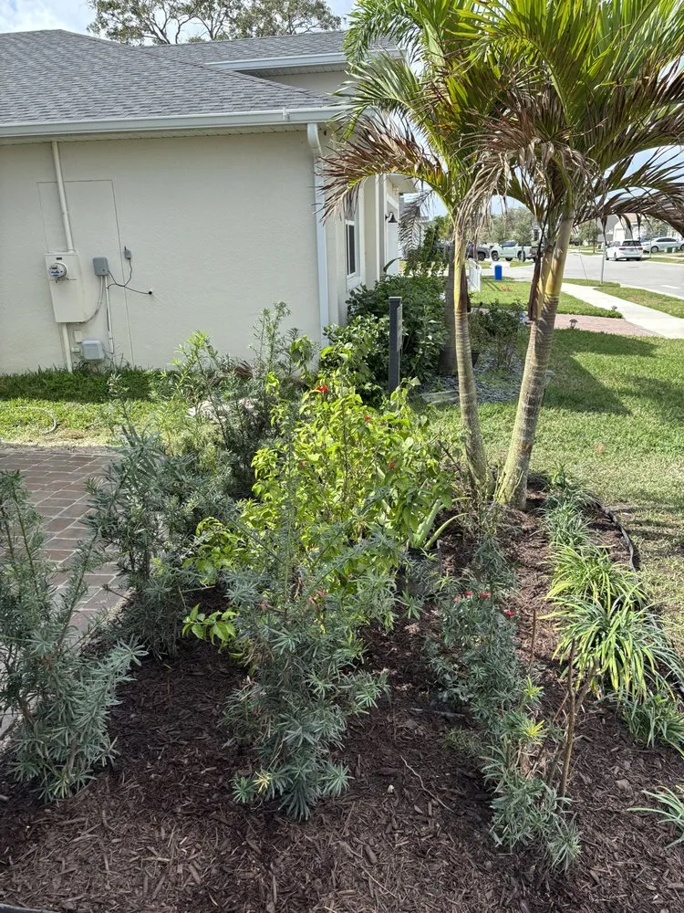 Trusted yard cleanup service in Sanford, FL - Buchanan Lanscape