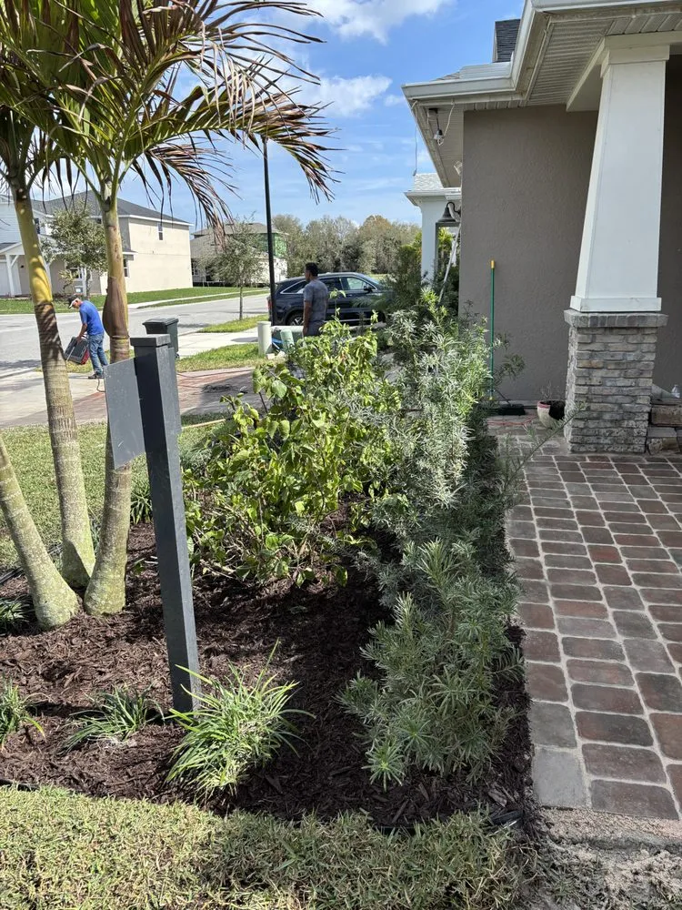 Affordable outdoor landscaping experts serving Sanford, FL - Buchanan Lanscape