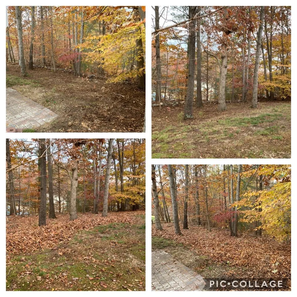 Trusted landscape installation for year-round maintenance in Spotsylvania Courthouse, VA by Buchanan Lawn Care