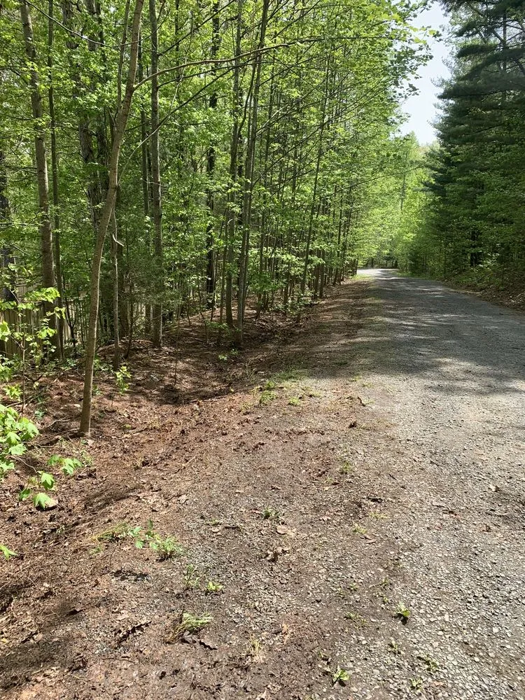 Custom lawn care service in Spotsylvania Courthouse, VA by Buchanan Lawn Care