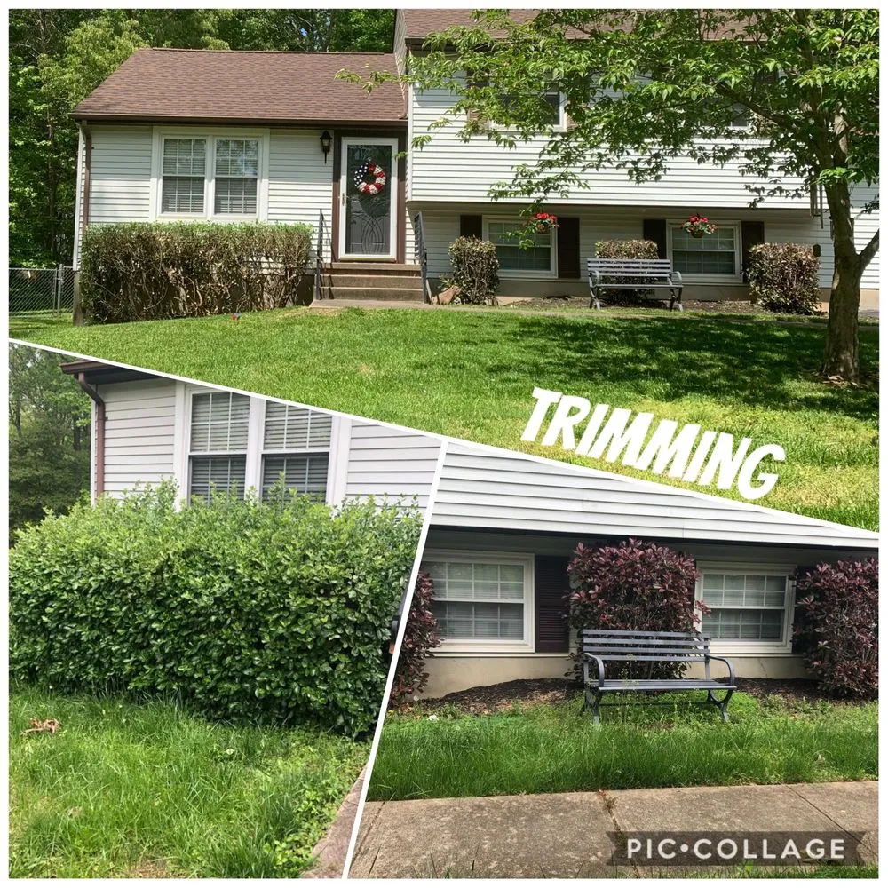 Local residential landscaping in Spotsylvania Courthouse, VA - Buchanan Lawn Care