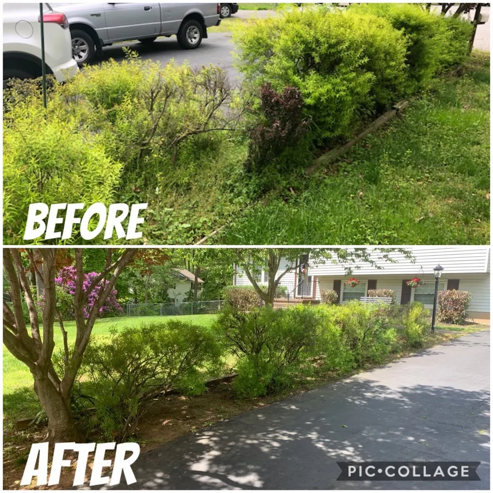 Custom landscape design for year-round maintenance in Spotsylvania Courthouse, VA by Buchanan Lawn Care