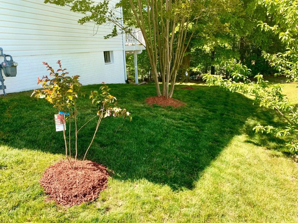 Professional garden landscaping experts serving Spotsylvania Courthouse, VA - Buchanan Lawn Care
