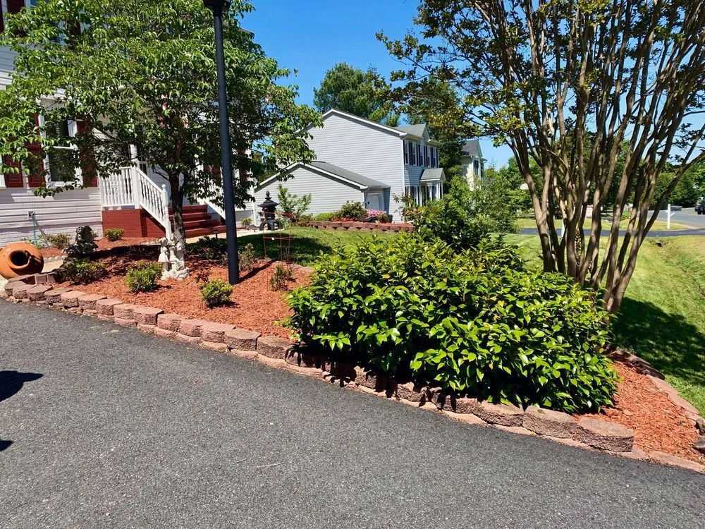 Trusted lawn care service experts serving Spotsylvania Courthouse, VA - Buchanan Lawn Care