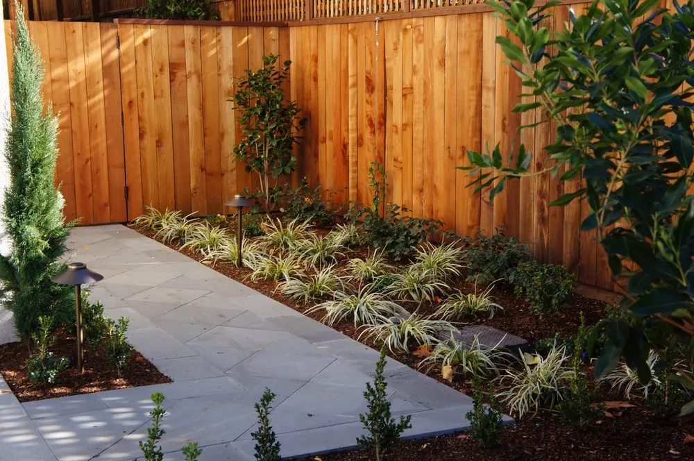 Trusted lawn mowing service experts serving Novato, CA - Buchholz Landscaping Company