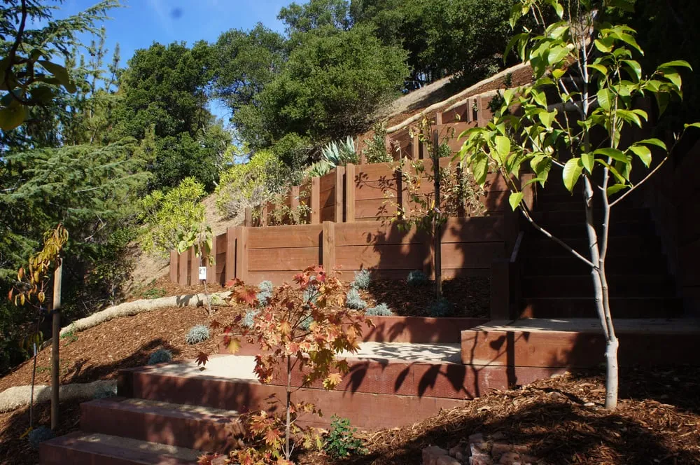 Reliable yard cleanup service experts serving Novato, CA - Buchholz Landscaping Company