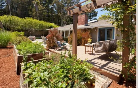 Trusted outdoor landscaping for year-round maintenance across Novato, CA - Buchholz Landscaping Company