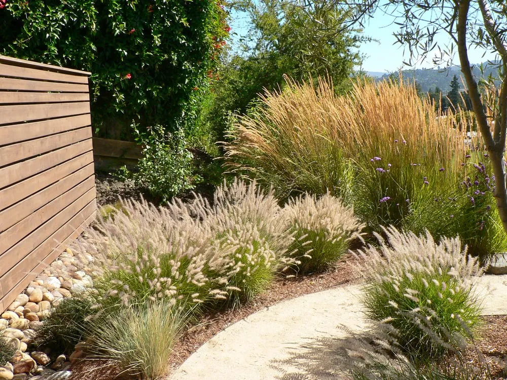 Custom residential landscaping in Novato, CA - Buchholz Landscaping Company