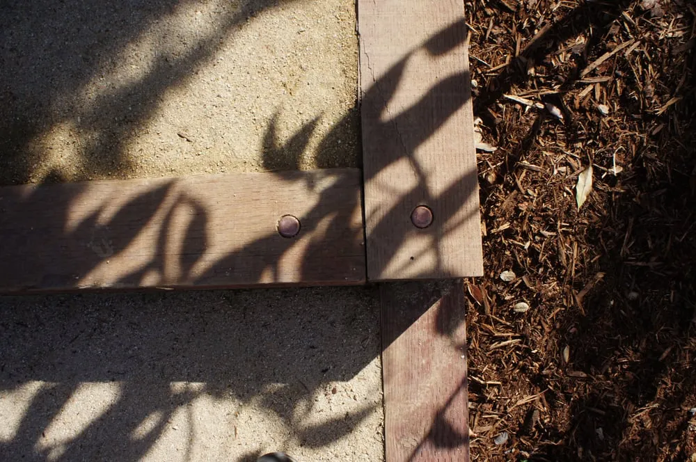 Custom landscape installation for year-round maintenance across Novato, CA - Buchholz Landscaping Company