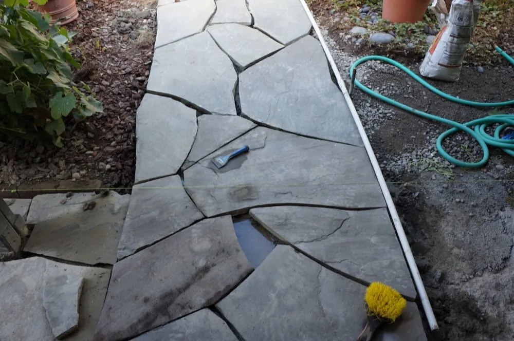 Custom yard cleanup service for residential properties in Novato, CA by Buchholz Landscaping Company
