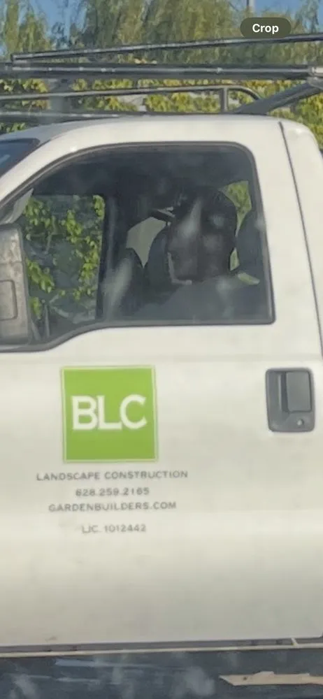 Affordable yard cleanup service for residential properties in Novato, CA by Buchholz Landscaping Company