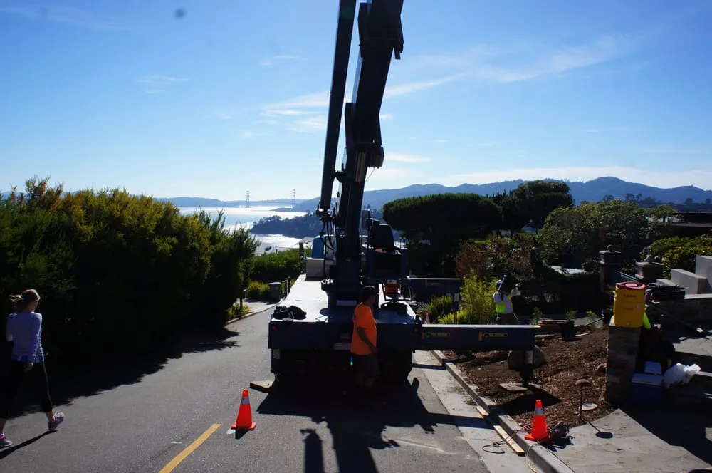 Top-rated yard maintenance in Novato, CA - Buchholz Landscaping Company