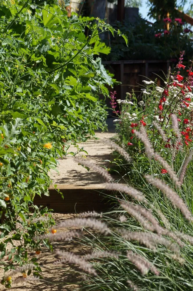 Top-rated yard maintenance in Novato, CA - Buchholz Landscaping Company