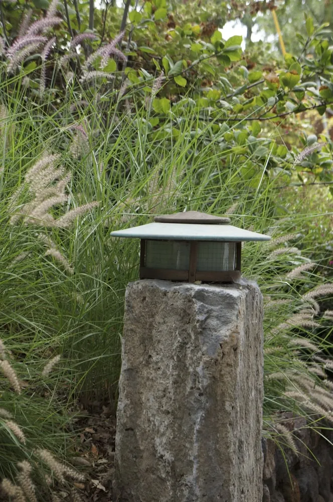 Reliable yard maintenance in Novato, CA - Buchholz Landscaping Company