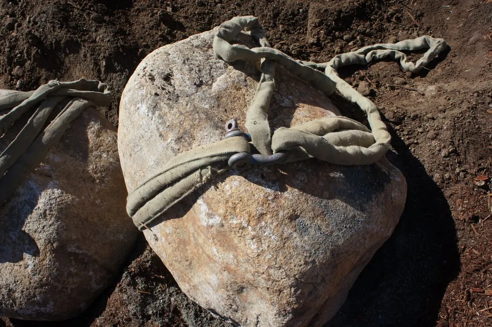 Local yard maintenance experts serving Novato, CA - Buchholz Landscaping Company