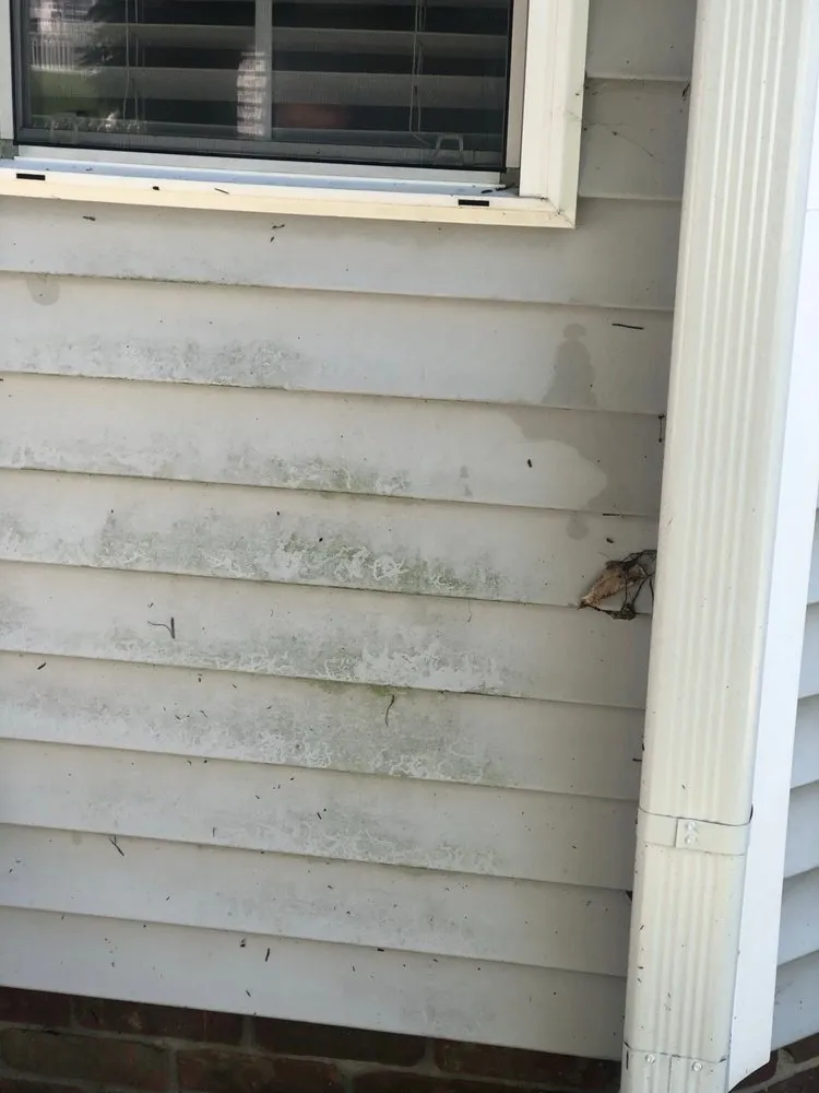 Professional residential landscaping for beautiful yards across Greenfield, IN - Buck Creek Grounds Maintenance