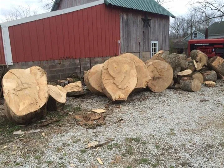 Trusted yard maintenance for residential properties across Greenfield, IN - Buck Creek Grounds Maintenance