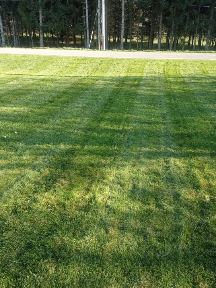 Reliable garden landscaping experts serving Lake Odessa, MI - Buck Creek Lawn Care