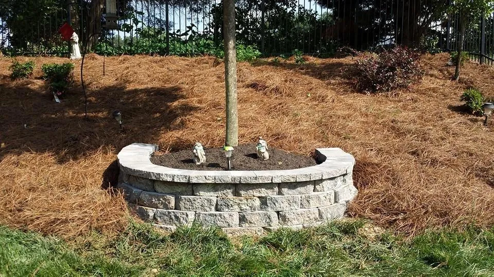 Reliable residential landscaping in Charlotte, NC by Buck Landscaping