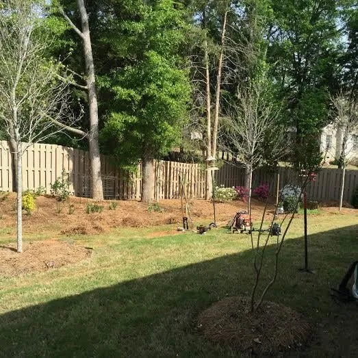 Reliable residential landscaping for homes across Charlotte, NC - Buck Landscaping
