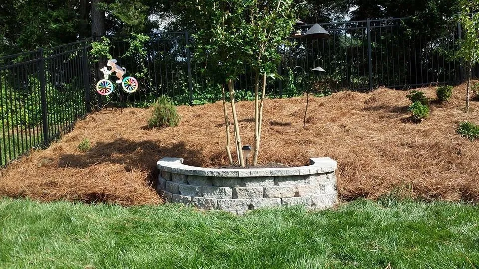 Trusted outdoor landscaping with custom design in Charlotte, NC by Buck Landscaping