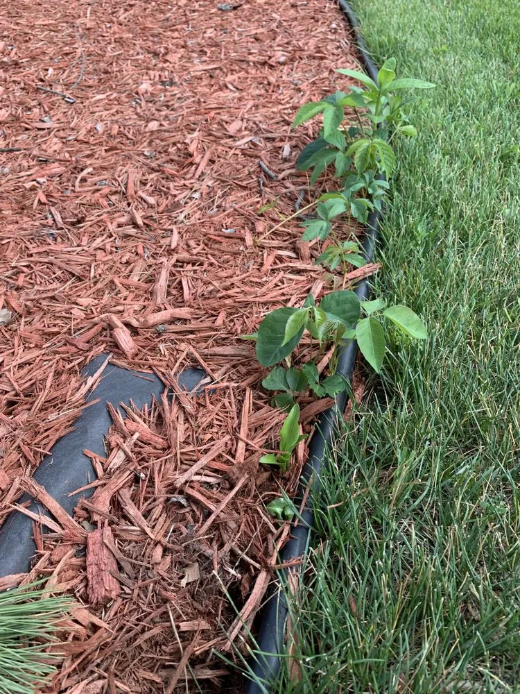 Top-rated lawn mowing service for outdoor upgrades in Ham Lake, MN by Buck Landscaping