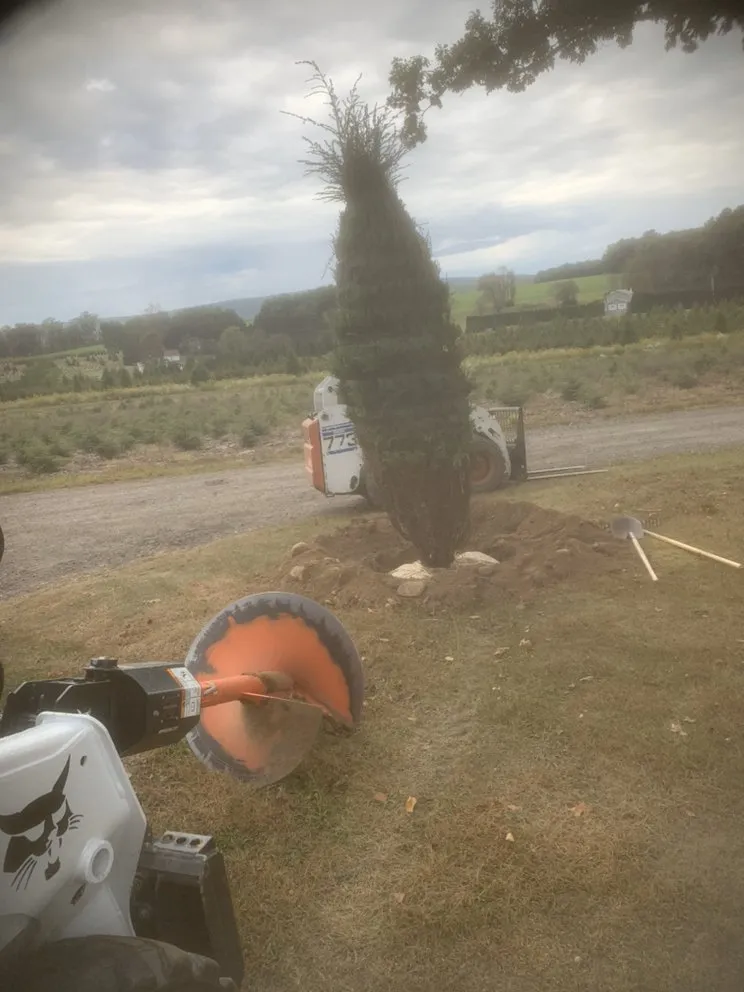 Custom landscape installation experts serving Weatherly, PA - Buck Mountain Landscape Supply