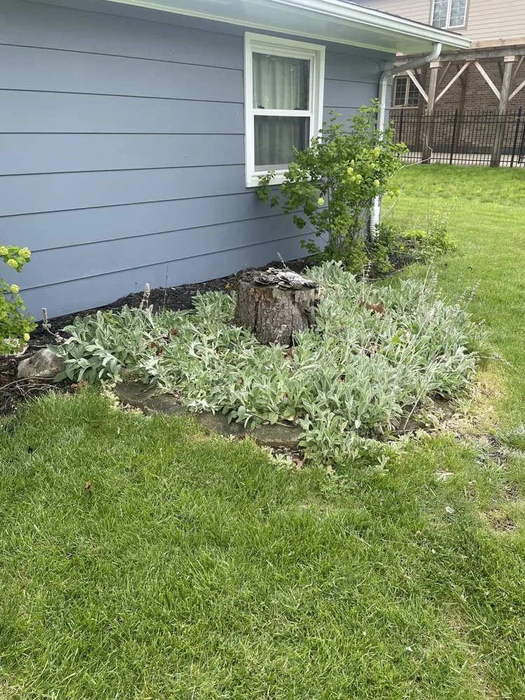 Local yard maintenance with custom design in Homer Glen, IL by Buck N Grind Tree and Stump Removal
