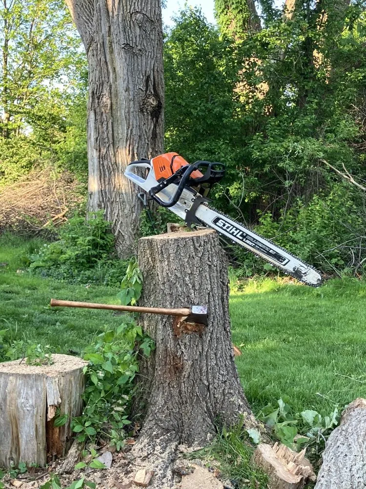 Local landscape installation in Homer Glen, IL by Buck N Grind Tree and Stump Removal