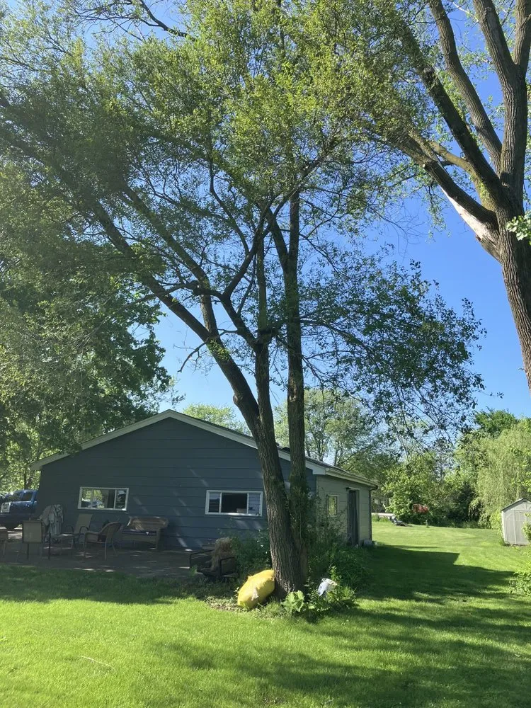 Local residential landscaping in Homer Glen, IL by Buck N Grind Tree and Stump Removal