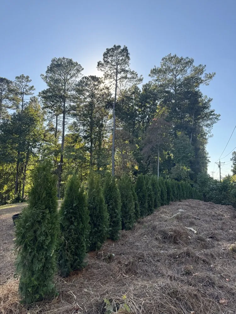 Local lawn care service in Acworth, GA by Buck South Landscaping