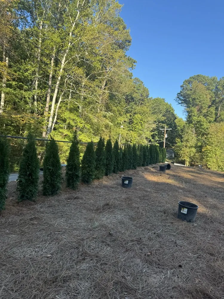 Top-rated yard maintenance experts serving Acworth, GA - Buck South Landscaping